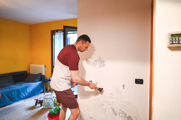 Best Best Mold Removal Companies  in Pomona Park, FL