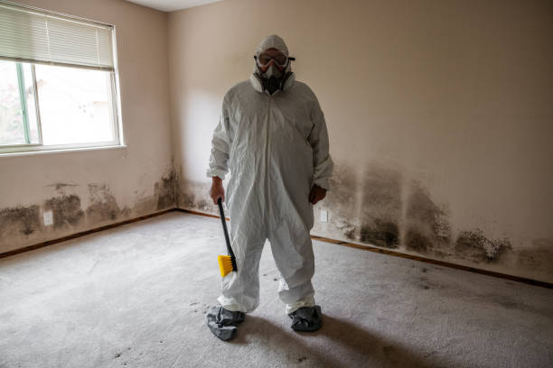 Best Residential Mold Removal  in Pomona Park, FL